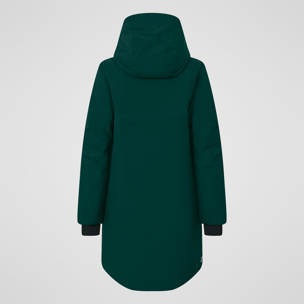 Women's Ashberry Gore-tex Down Parka - Green